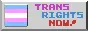 88x31px badge reading: Trans rights now!