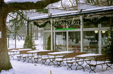 webp file named /photos/img/analog-sirenka-cafe.webp