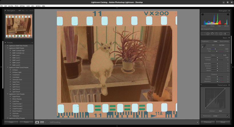 Screenshot of Adobe Lightroom 2015 with a cropped image of a frame on a negative
