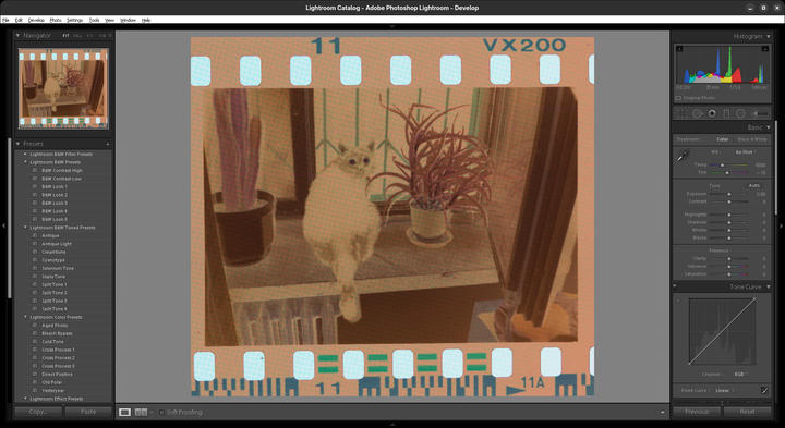Screenshot of Adobe Lightroom 2015 with a cropped image of a frame on a negative